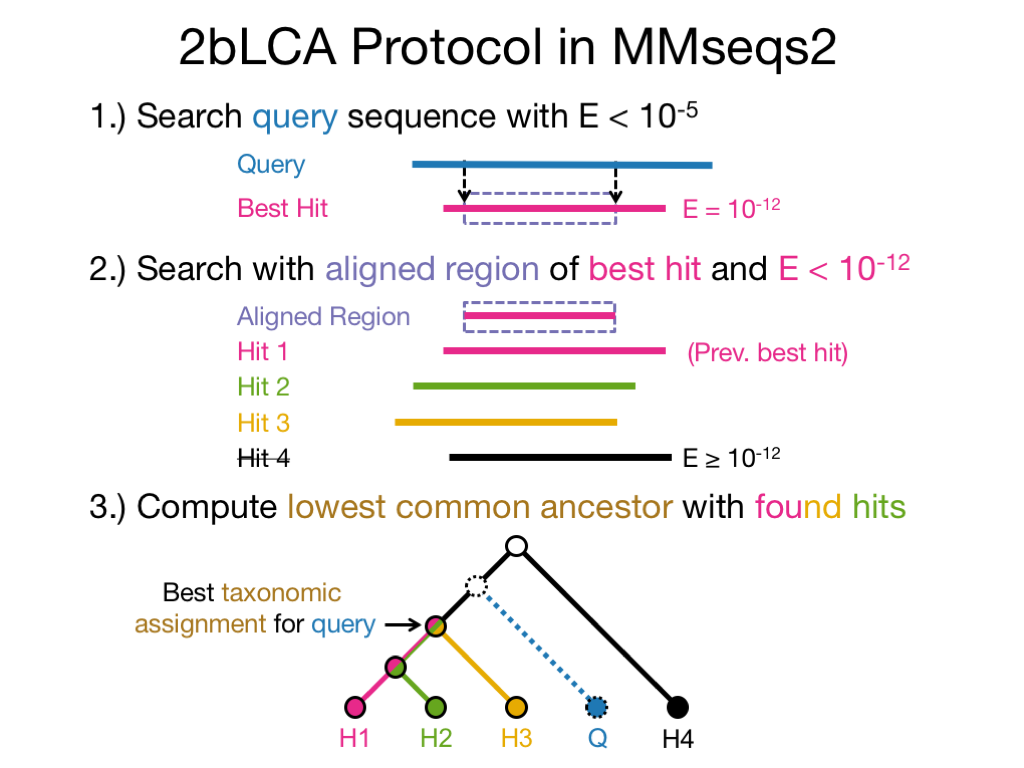 2bLCA protcol (Hingamp et. al, 2013)